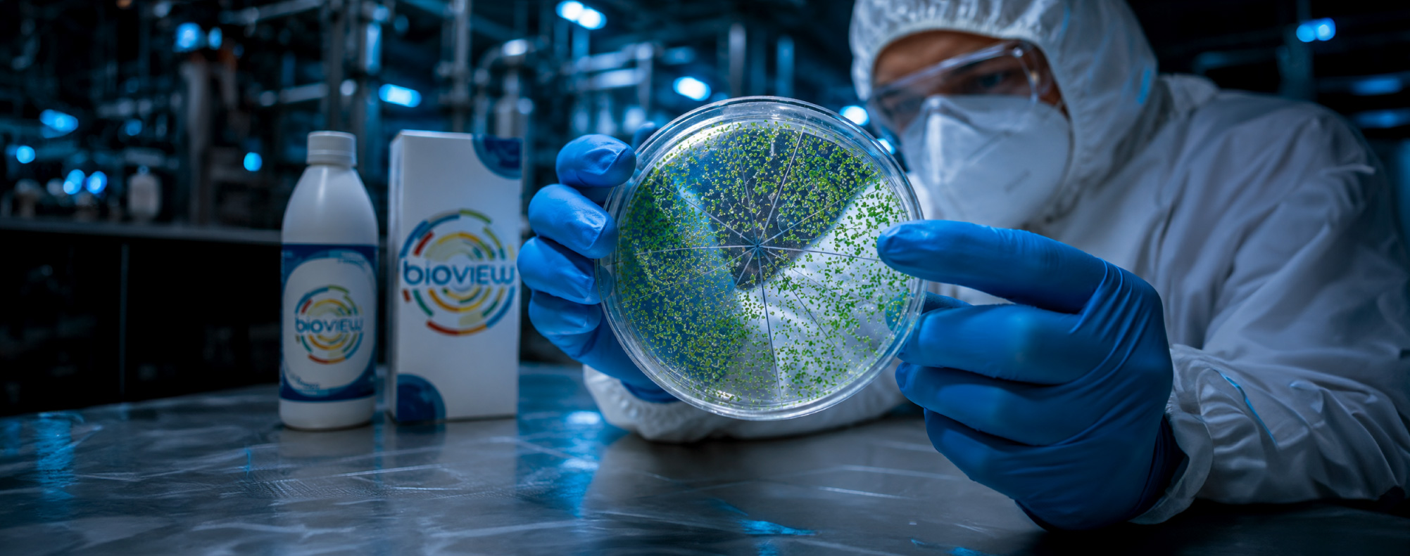 Biopeliculas en la Industria Alimentaria